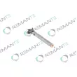 REMANTE 002-003-000135R - Injecteur