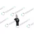 REMANTE 002-003-000171R - Injecteur