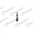 REMANTE 002-003-000202R - Injecteur