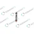 REMANTE 002-003-000202R - Injecteur