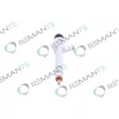 REMANTE 002-003-001006R - Injecteur