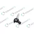 REMANTE 002-003-001015R - Injecteur