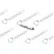 Injecteur REMANTE [002-003-001076R]