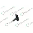 REMANTE 002-003-001144R - Injecteur