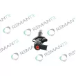 REMANTE 002-003-001194R - Injecteur