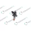 REMANTE 002-003-001194R - Injecteur