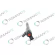 REMANTE 002-003-001195R - Injecteur