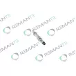 REMANTE 002-003-001207R - Injecteur