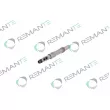 REMANTE 002-003-001207R - Injecteur
