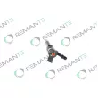 REMANTE 002-003-001319R - Injecteur