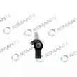 REMANTE 002-003-001348R - Injecteur