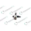 REMANTE 002-003-001358R - Injecteur