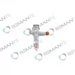 REMANTE 002-003-001359R - Injecteur
