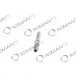 REMANTE 002-003-001366R - Injecteur