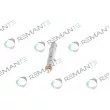 REMANTE 002-003-001366R - Injecteur