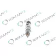 REMANTE 002-003-001373R - Injecteur