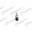 REMANTE 002-003-001374R - Injecteur