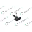 REMANTE 002-003-001381R - Injecteur