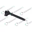 REMANTE 002-003-001411R - Injecteur