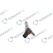 REMANTE 002-003-001416R - Injecteur