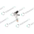 REMANTE 002-003-001489R - Injecteur