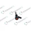 REMANTE 002-003-001494R - Injecteur