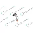 REMANTE 002-003-001507R - Injecteur