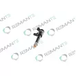 REMANTE 002-003-001531R - Injecteur