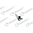 REMANTE 002-003-001653R - Injecteur