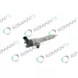 REMANTE 002-003-001653R - Injecteur