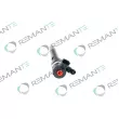 REMANTE 002-003-001675R - Injecteur