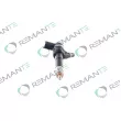 REMANTE 002-003-001738R - Injecteur
