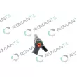 REMANTE 002-003-001739R - Injecteur