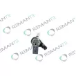 REMANTE 002-003-001752R - Injecteur