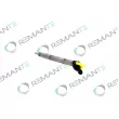 Injecteur REMANTE [002-003-001781R]