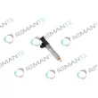 REMANTE 002-003-001784R - Injecteur