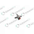 REMANTE 002-003-001991R - Injecteur