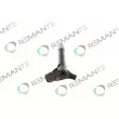 REMANTE 002-003-002077R - Injecteur