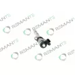 REMANTE 002-003-002117R - Injecteur