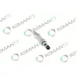 REMANTE 002-003-002129R - Injecteur