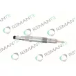 REMANTE 002-003-002129R - Injecteur