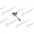 REMANTE 002-003-002135R - Injecteur