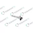 Injecteur REMANTE [002-003-002161R]