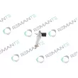 REMANTE 002-003-002161R - Injecteur