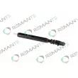 REMANTE 002-003-002166R - Injecteur