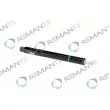 REMANTE 002-003-002166R - Injecteur