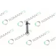 REMANTE 002-003-002166R - Injecteur