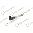 REMANTE 002-003-002229R - Injecteur