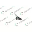 REMANTE 002-003-002252R - Injecteur