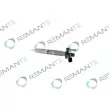 Injecteur REMANTE [002-003-002293R]